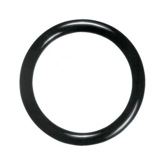 Уплотнительное кольцо FORD F1DZ7Z144A (фото 1)