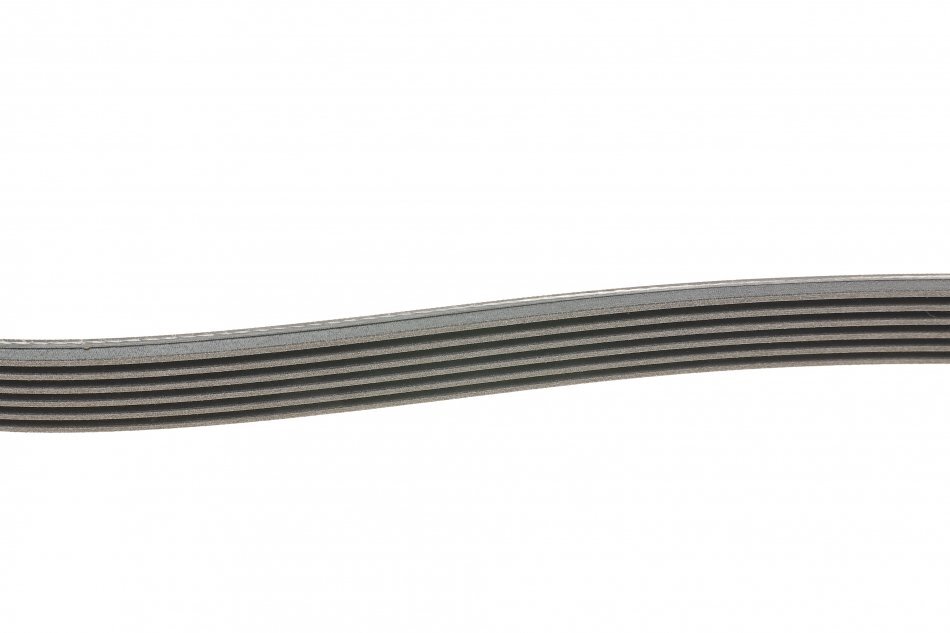 Ремінь привідний 2580 mm — артикул 6PK2581 — DAYCO — Двигун та Вихлоп / Ремінь приводний — фото 6 — купити в Україні Jeep.in.ua